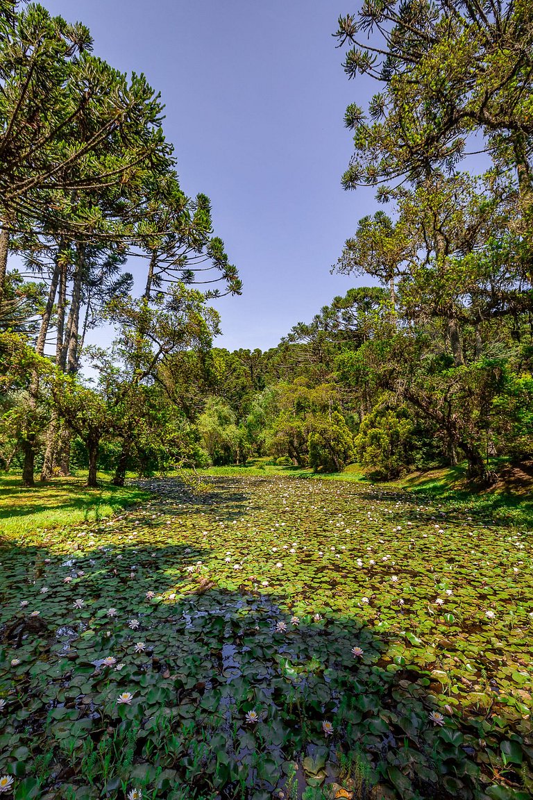 Casa - Campos do Jordão | SPcs346