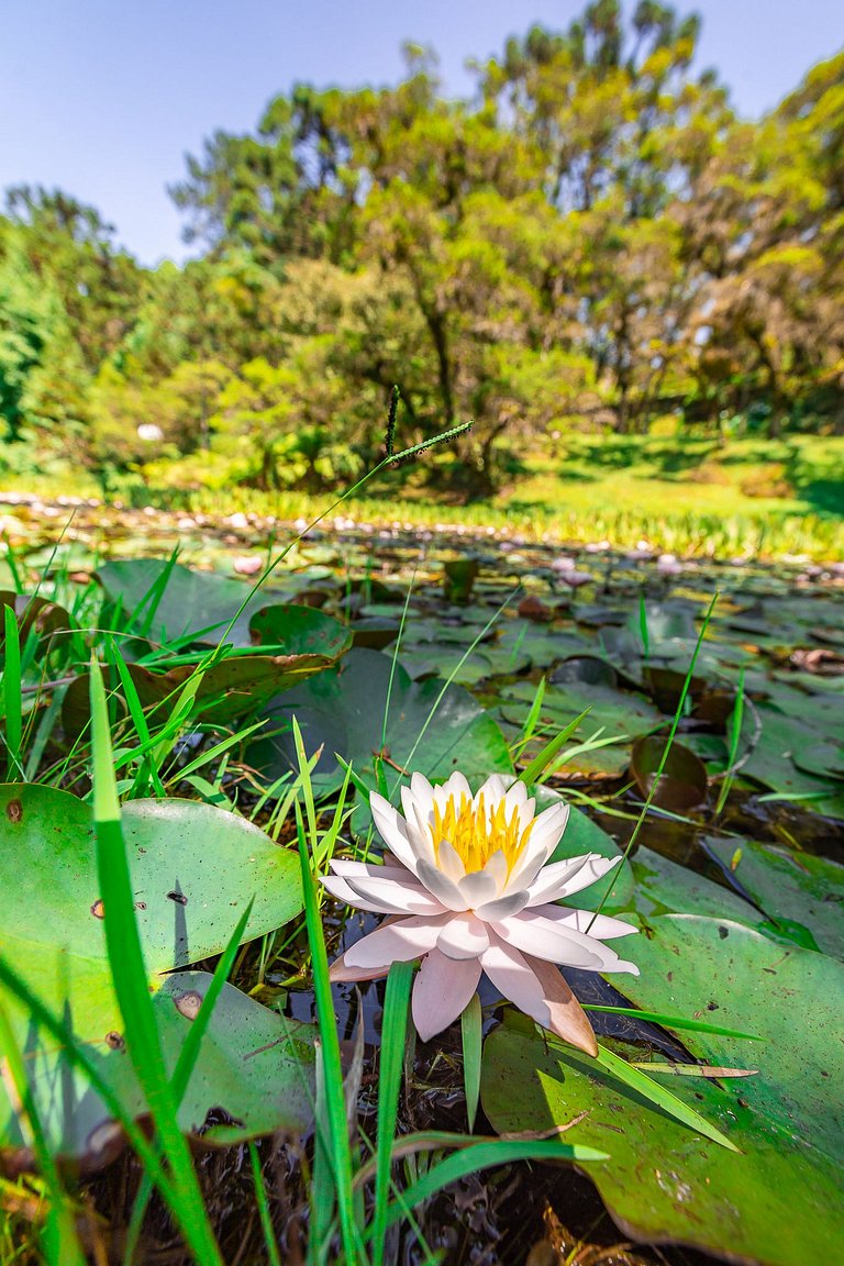 Casa - Campos do Jordão | SPcs346