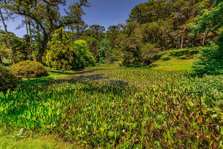 Casa - Campos do Jordão | SPcs346