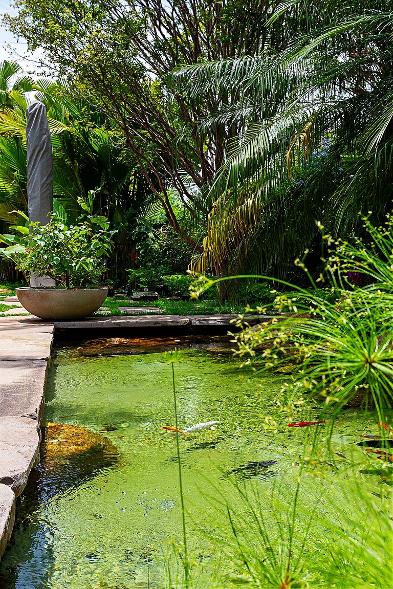 Haras Larissa - HL0049