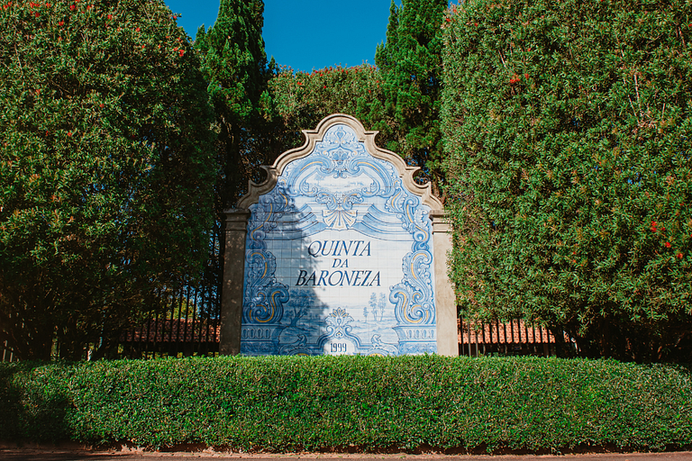 Lote Quinta da Baroneza - AUSPlt03