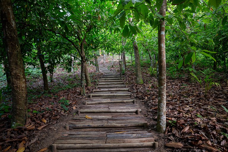 Casa de Praia - Um refugio em Trancoso - BAcs249