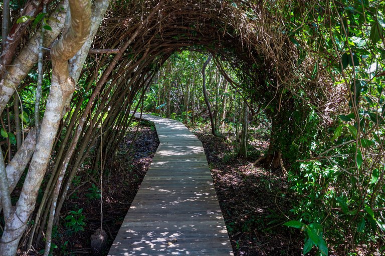 Casa de Praia - Um refugio em Trancoso - BAcs249