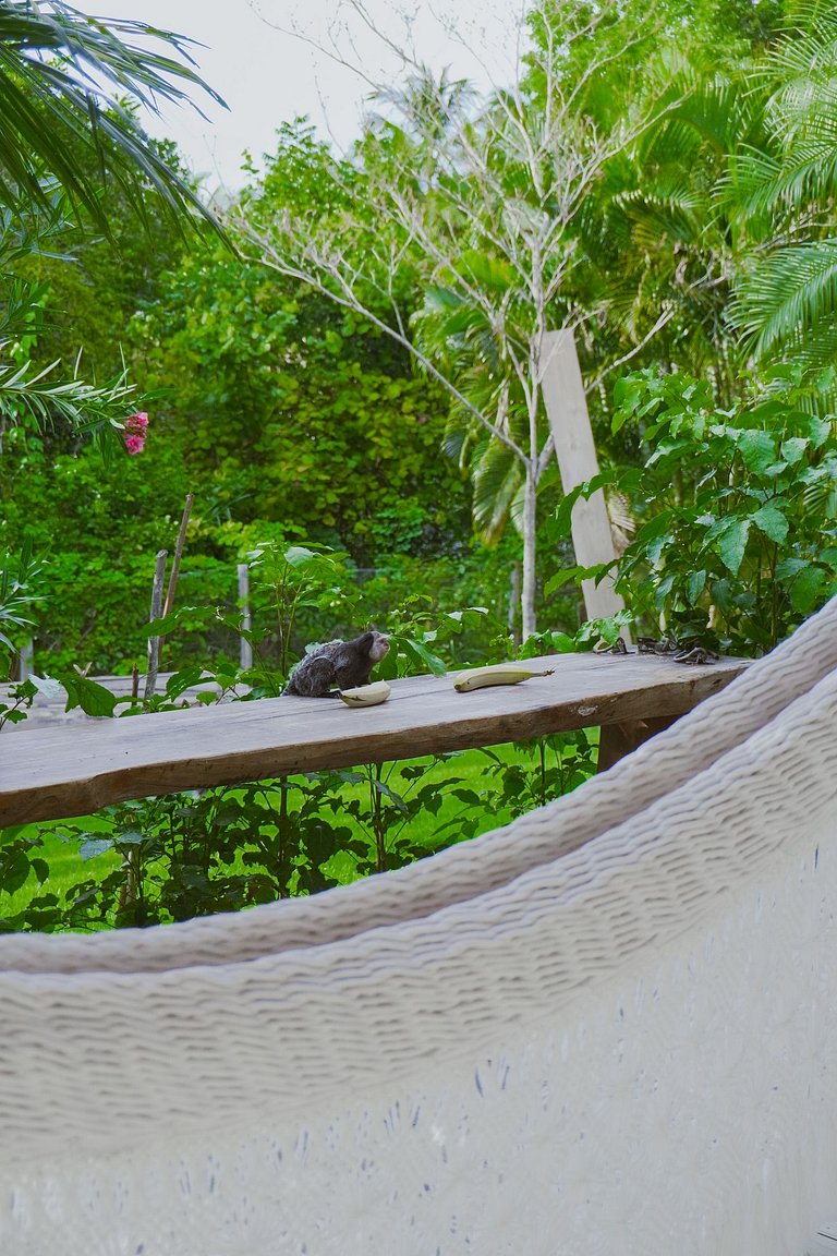 Casa Charmosa - Vila do Outeiro - BAcs252