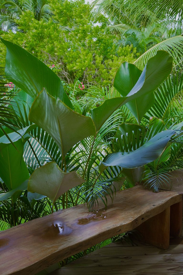 Casa Charmosa - Vila do Outeiro - LTBAcs21