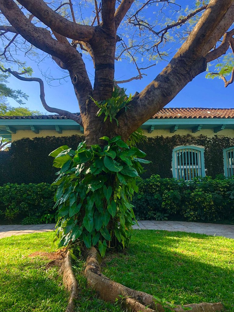 Fazenda Primavera, Refúgio no Interior de São Paulo