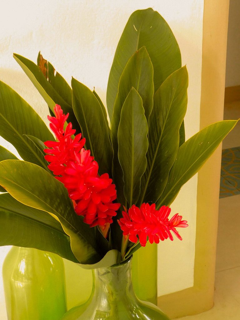 Casa de Praia - Outeiro das Brisas - BAcs263