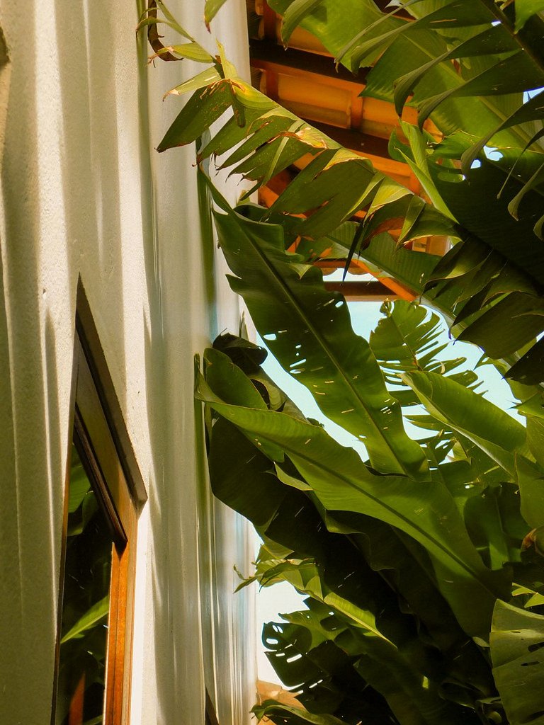 Casa de Praia - Outeiro das Brisas - BAcs263