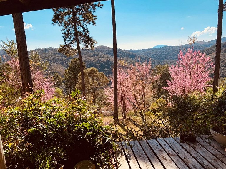 Cabana - Sao-bento do Sapucaí - SPcs449