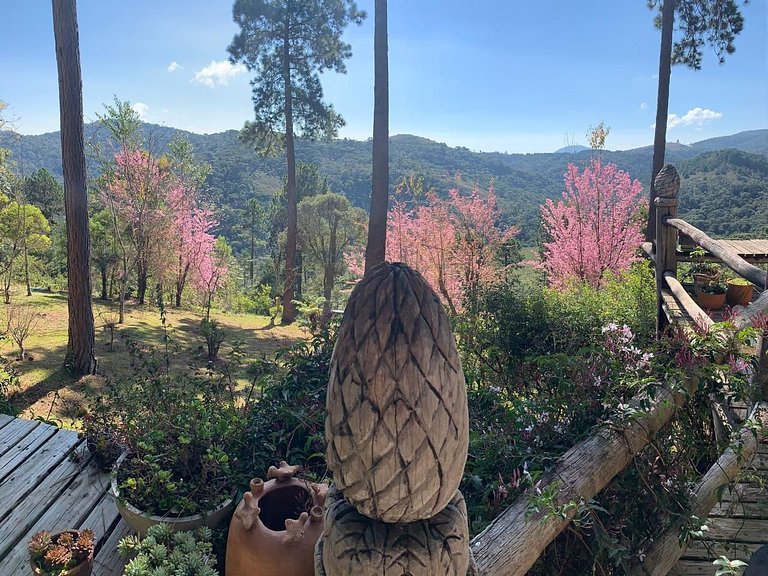 Cabana - Sao-bento do Sapucaí - SPcs449