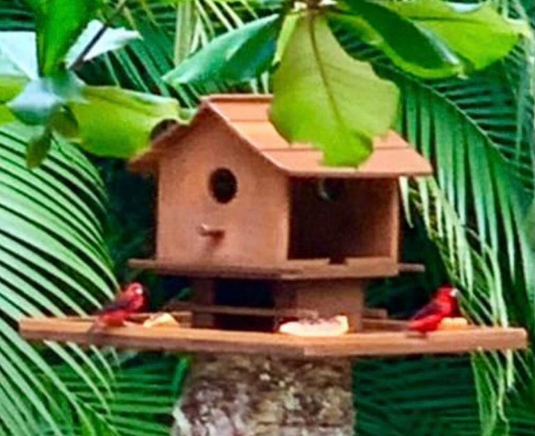 Casa pé na areia - Ubatuba - SPcs452