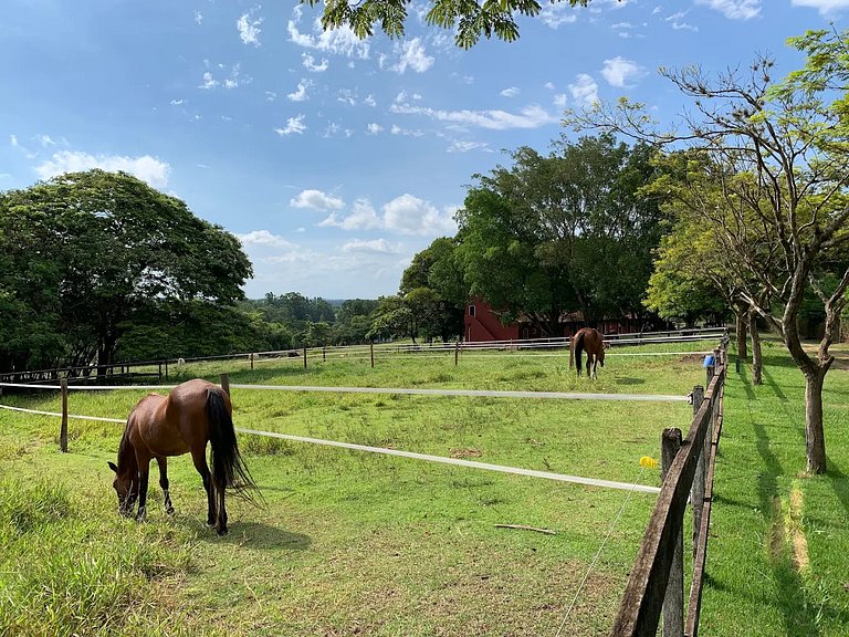 Fazenda em ITU - SPcs470