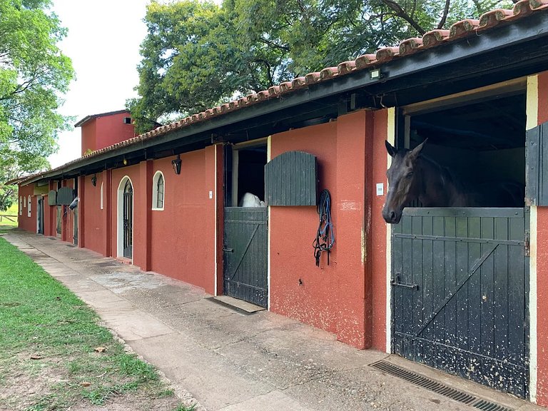 Fazenda em ITU - SPcs470