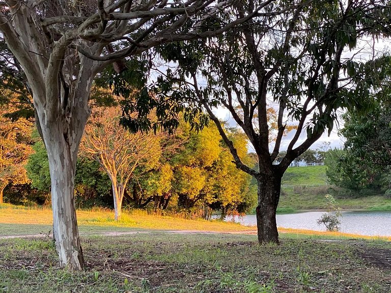 Fazenda em ITU - SPcs470