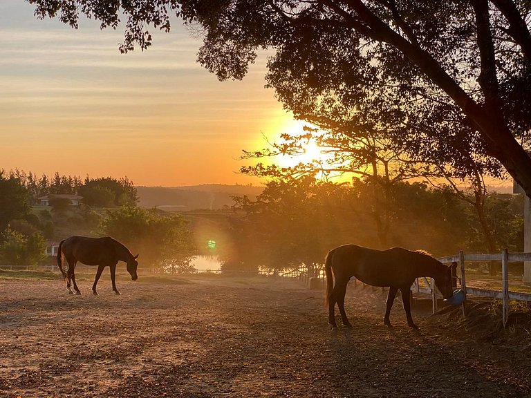 Fazenda em ITU - SPcs470