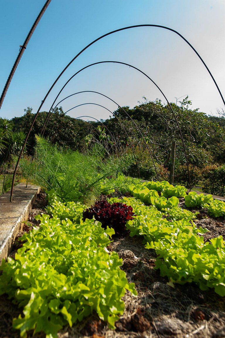 Casa em Guararema - SPcs472