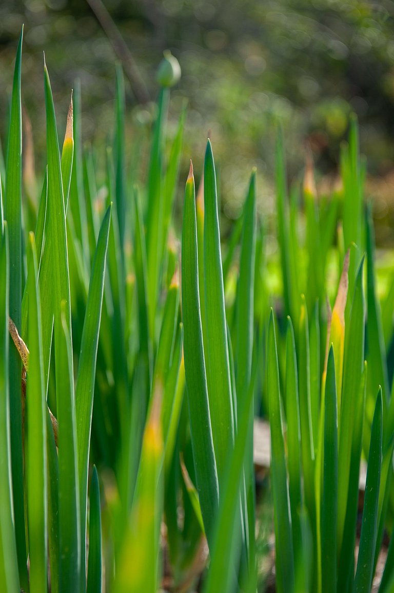 Casa em Guararema - SPcs472