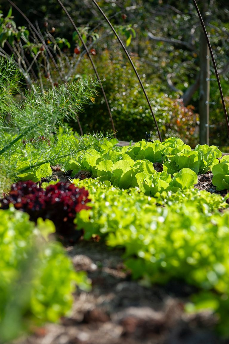 Casa em Guararema - SPcs472