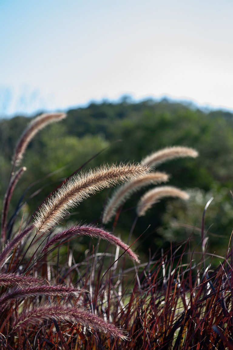 Casa em Guararema - SPcs472