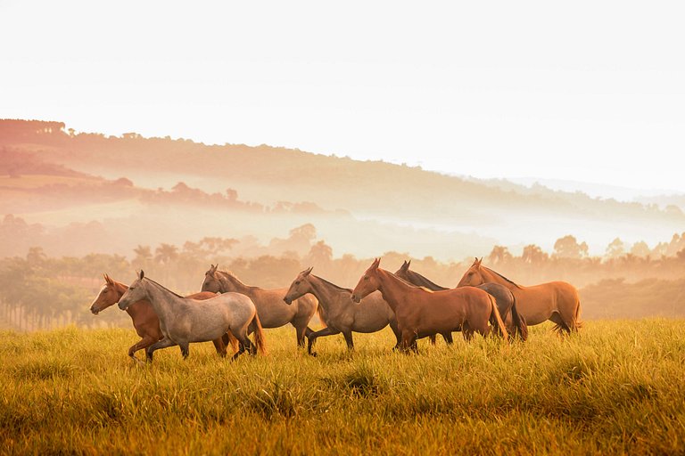 Lotes a venda - Condomínio Almarias - ARSPlt243