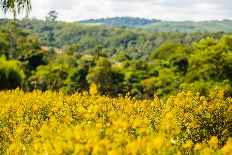 Lotes a venda - Condomínio Almarias - ARSPlt243
