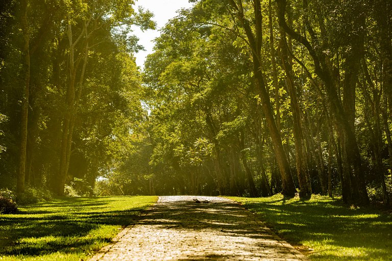 Lotes a venda - Condomínio Almarias - ARSPlt243