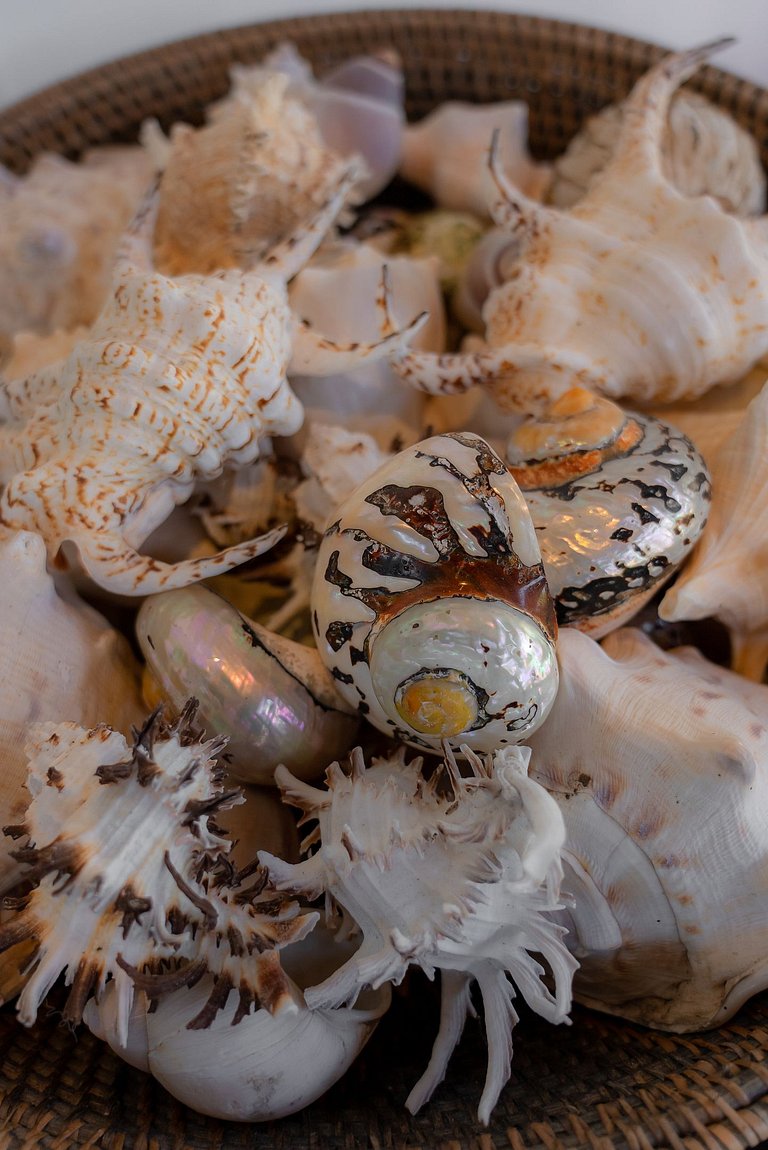 Magnificent House - Outeiro das Brisas - 4 Suites | BAcs19