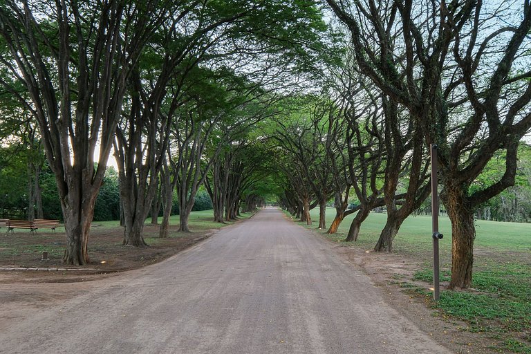 Casa Charmosa - Haras Larissa - SPcs474