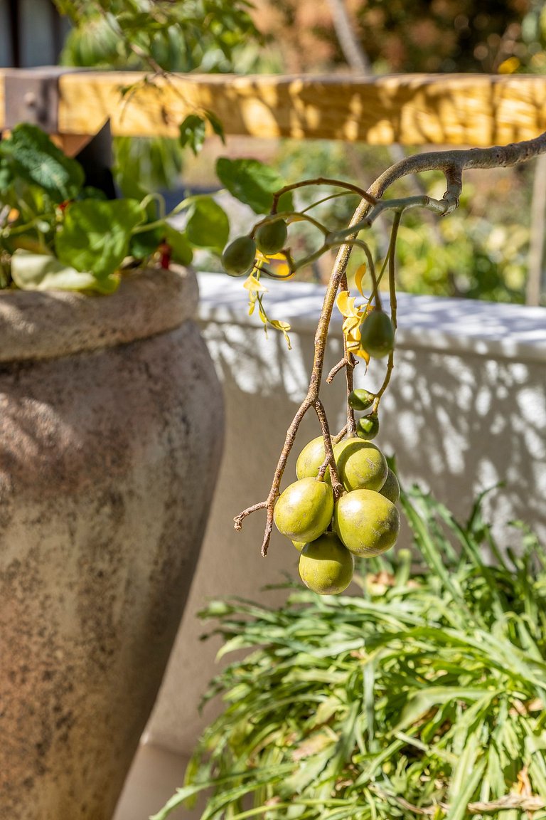Casa Moderna - Alto Paraíso de Goiás - GOcs02