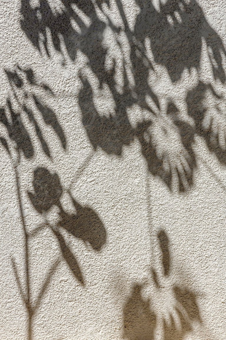 Casa Moderna - Alto Paraíso de Goiás - GOcs02