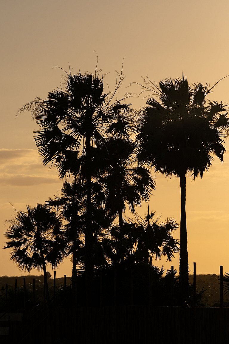 Casa em Barra Grande - PIcs07
