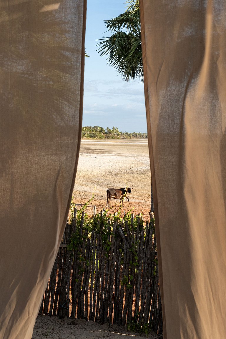 Casa em Barra Grande - PIcs07