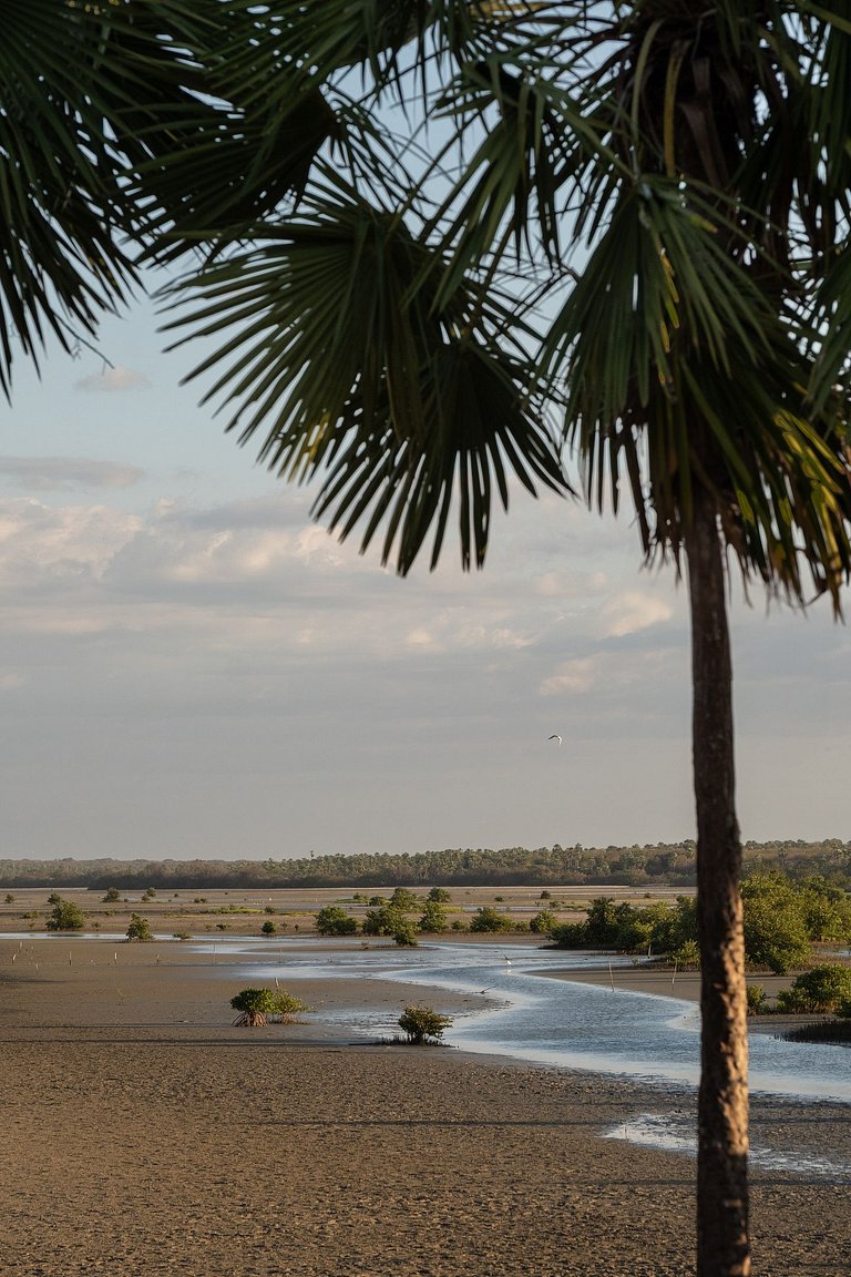 Casa em Barra Grande - PIcs07