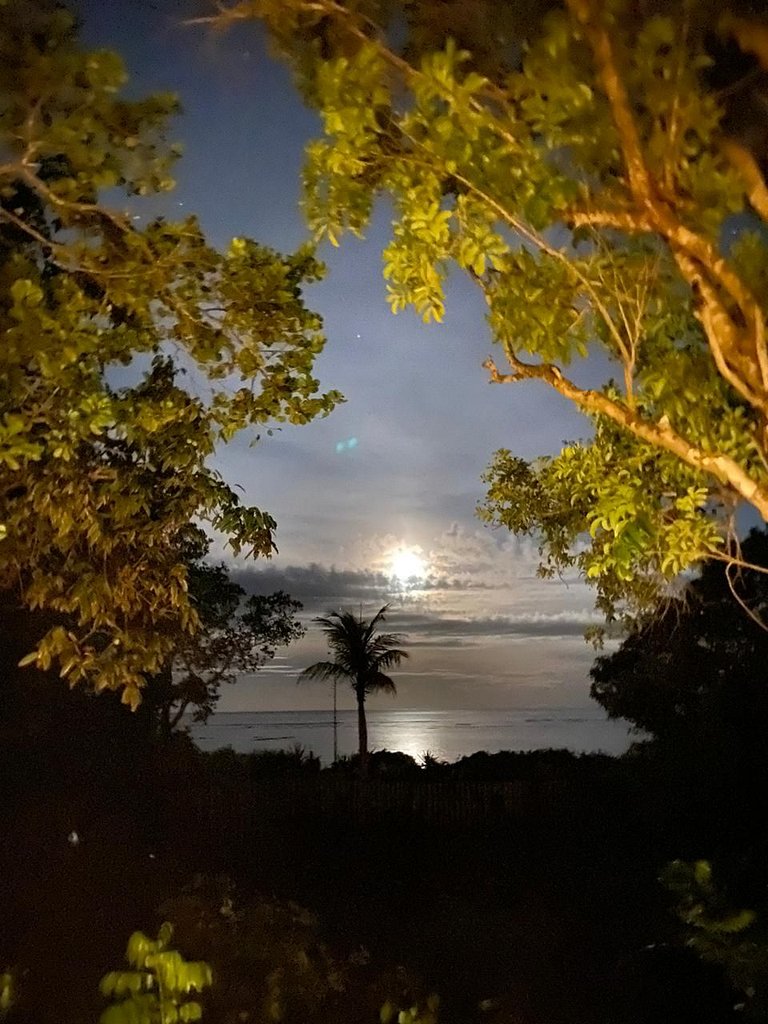 Wonderful House - Itapororoca - Ocean View | BAcs36