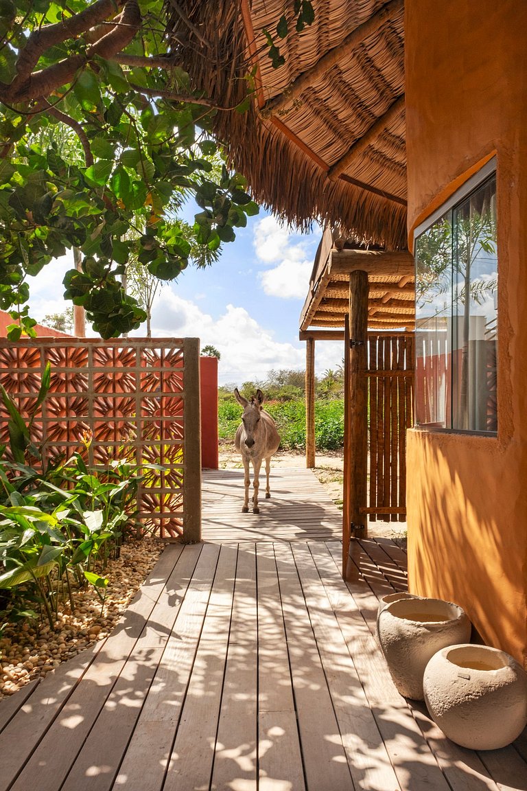 Casa em Cajueiro da Praia - PIcs06