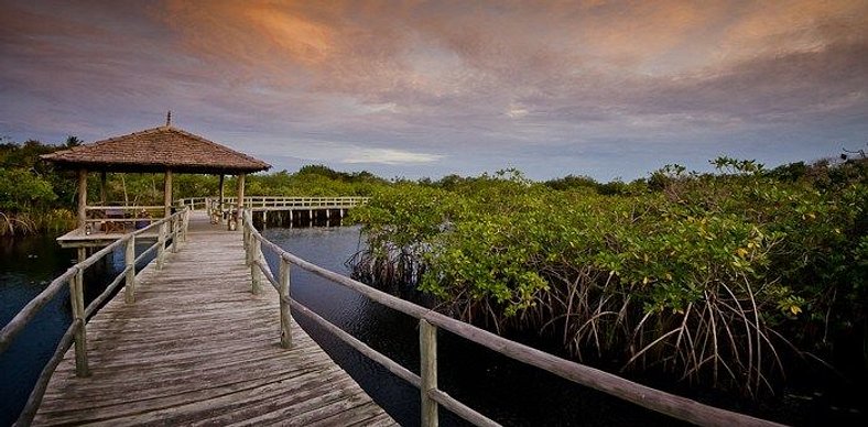 Casa Maravilhosa - Itapororoca - Pé na Areia | BAcs36