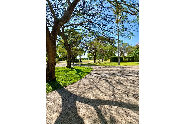 Quinta da Baroneza | ARSPcs08
